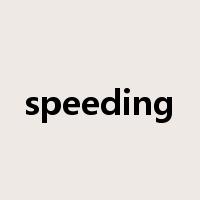 speeding是什么意思