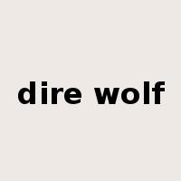 dire wolf是什么意思