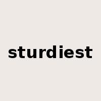 sturdiest是什么意思