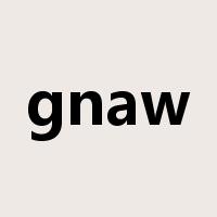 gnaw是什么意思