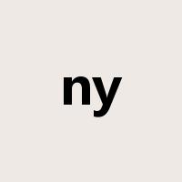 ny是什么意思