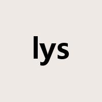lys是什么意思