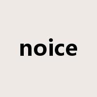 noice是什么意思