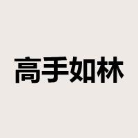 高手如林是什么意思