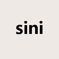 sini是什么意思