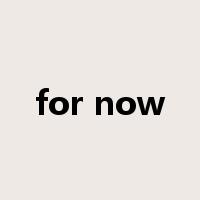 for now是什么意思