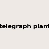telegraph plant是什么意思