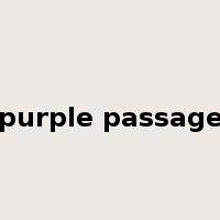 purple passage是什么意思