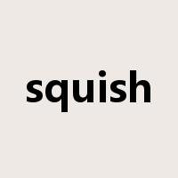 squish是什么意思