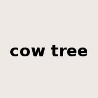 cow tree是什么意思