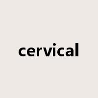 cervical是什么意思