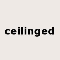 ceilinged是什么意思