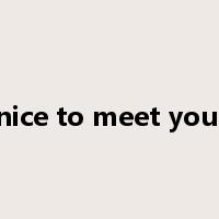 nice to meet you.是什么意思