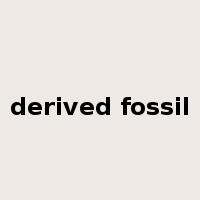 derived fossil是什么意思