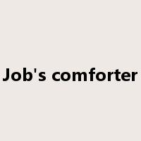 Job's comforter是什么意思