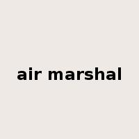 air marshal是什么意思