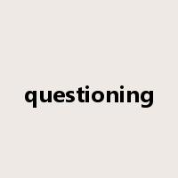 questioning是什么意思