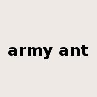 army ant是什么意思