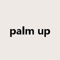 palm up是什么意思