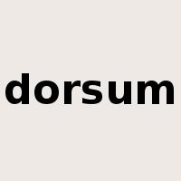 dorsum是什么意思