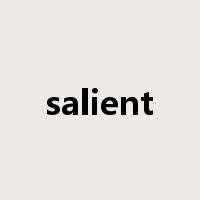 salient是什么意思