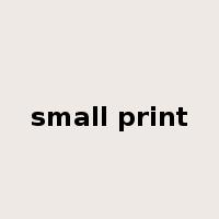 small print是什么意思