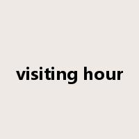 visiting hour是什么意思