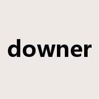 downer是什么意思