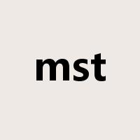 mst是什么意思