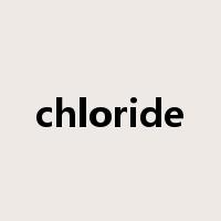 chloride是什么意思