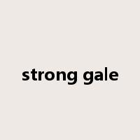 strong gale是什么意思