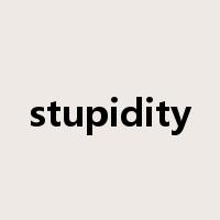 stupidity是什么意思