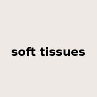 soft tissues是什么意思