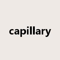 capillary是什么意思