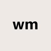 wm是什么意思