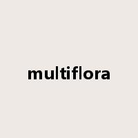 multiflora是什么意思