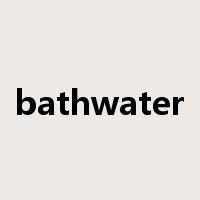 bathwater是什么意思