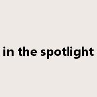 in the spotlight是什么意思