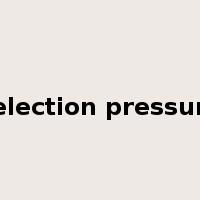 selection pressure是什么意思