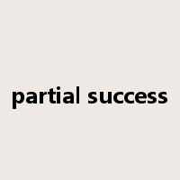 partial success是什么意思