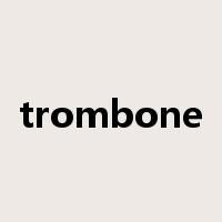 trombone是什么意思