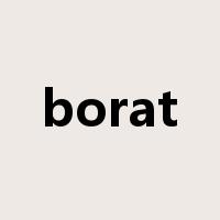 borat是什么意思