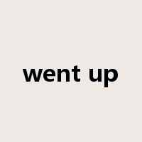 went up是什么意思