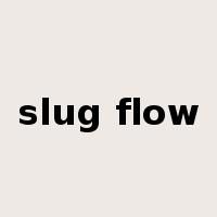 slug flow是什么意思
