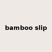 bamboo slip是什么意思