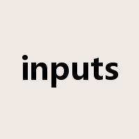 inputs是什么意思