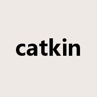 catkin是什么意思