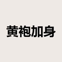 黄袍加身是什么意思