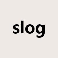 slog是什么意思