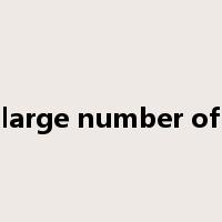 large number of是什么意思